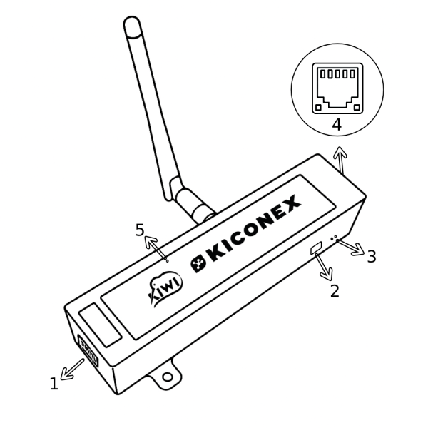 Archivo:Esquema kiwi.png